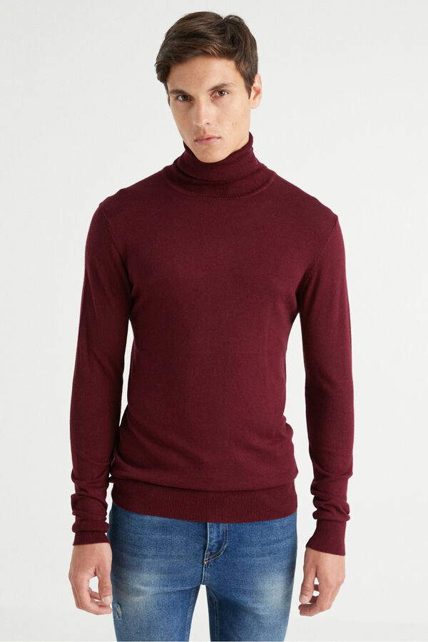 Inside Jersey B&aacute;sico Cisne rojo