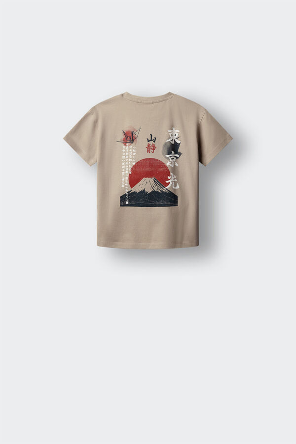 Springfield Kids Camiseta manga corta Monte Fuji ni&ntilde;o nude