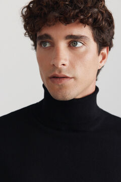 Springfield Basic-Pullover mit Rollkragen