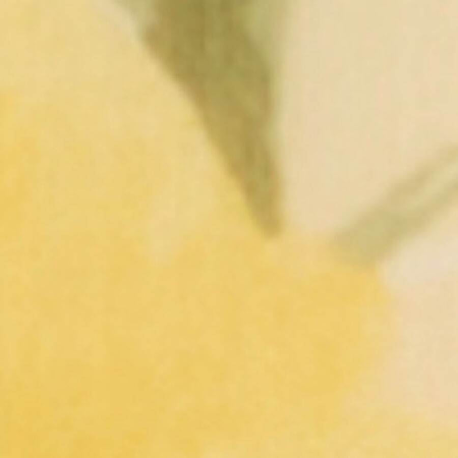 Color swatch