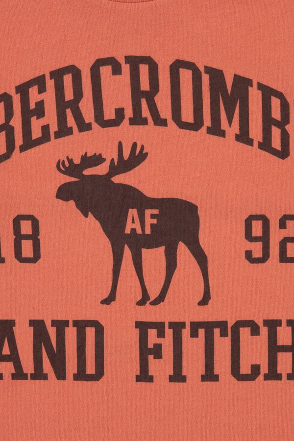 Abercrombie Kids Short sleeve graphic T-shirt red