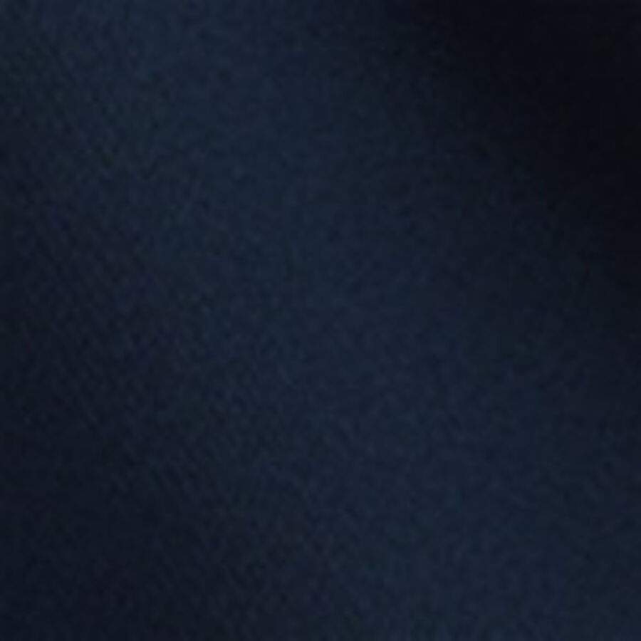Color swatch