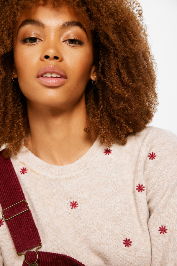Springfield Embroidered flowers jumper brown