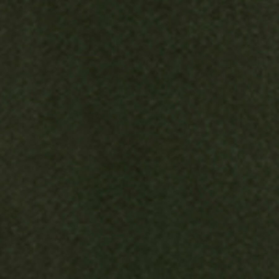 Color swatch