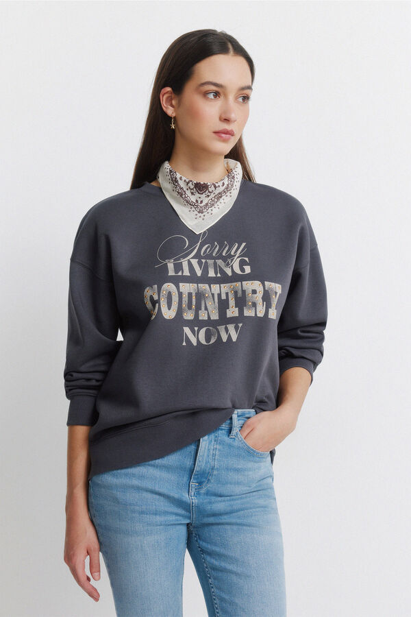 Springfield Sudadera "Country" gris