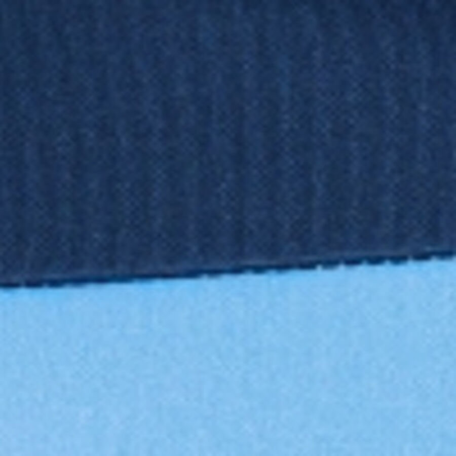 Color swatch