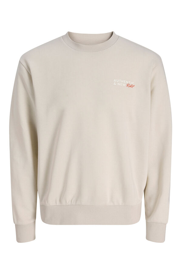 JJ REBEL Sudadera holgada backprint gris