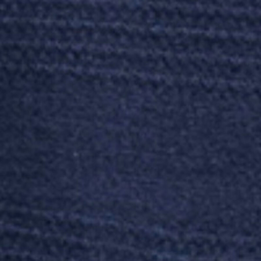 Color swatch