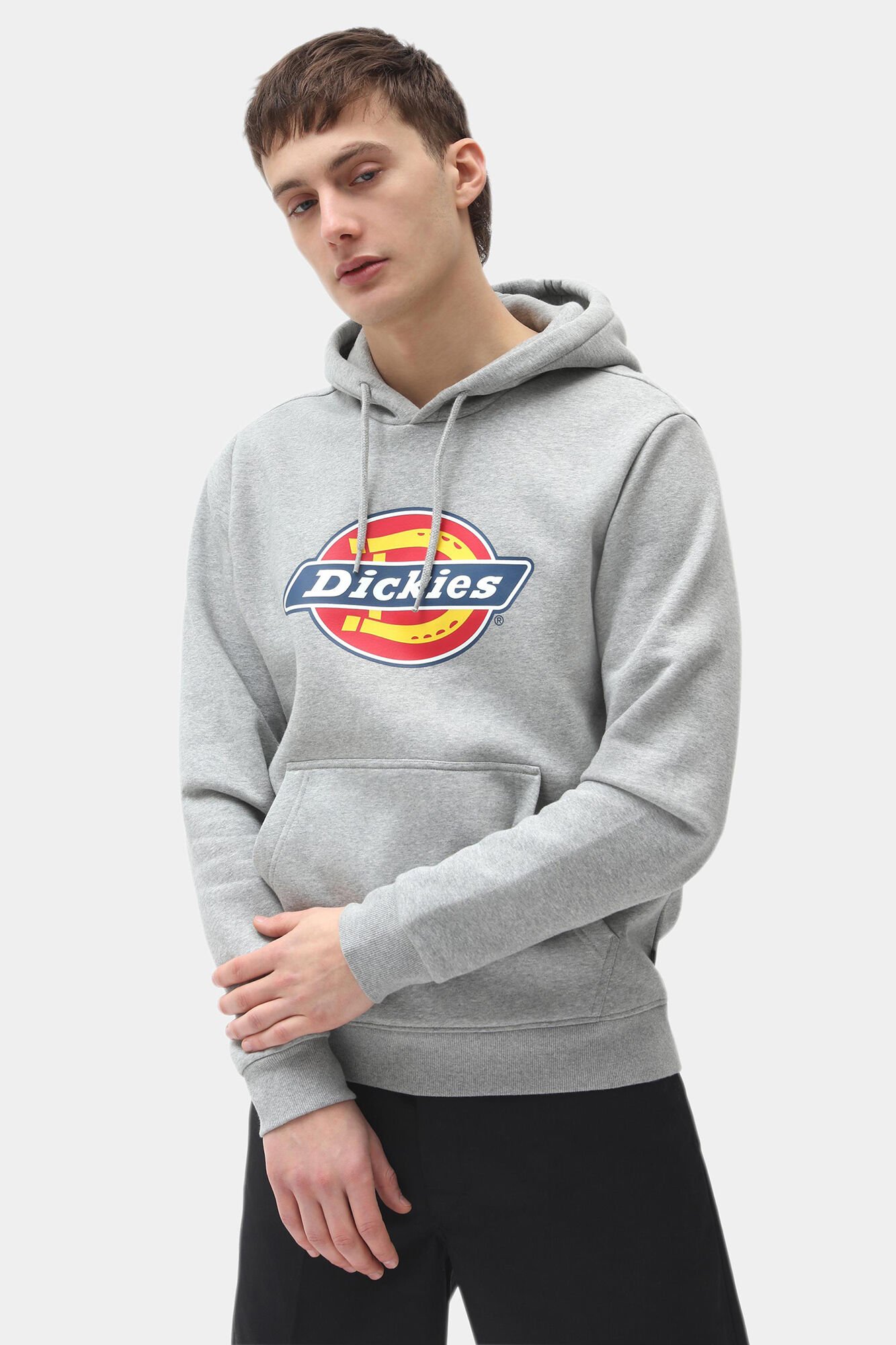Dickies Moletom com sweatshirt The Icon Capuz