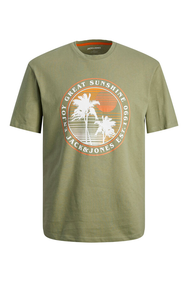 Springfield Relaxed fit T-shirt green