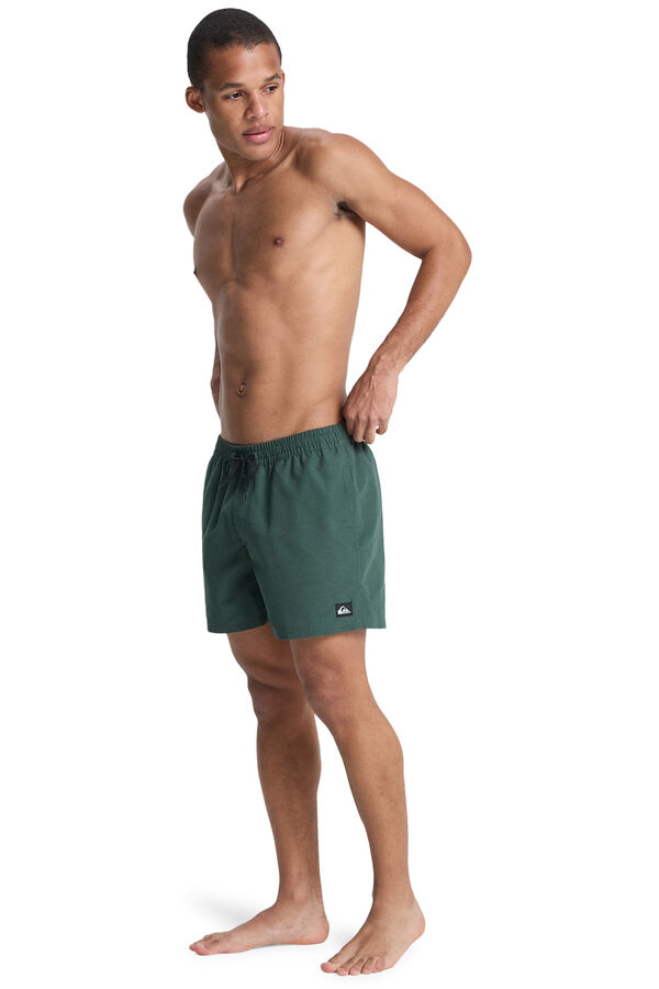 Quiksilver Logo swimwear green