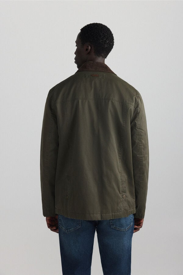 Springfield Parka curta gola de bombazina bege