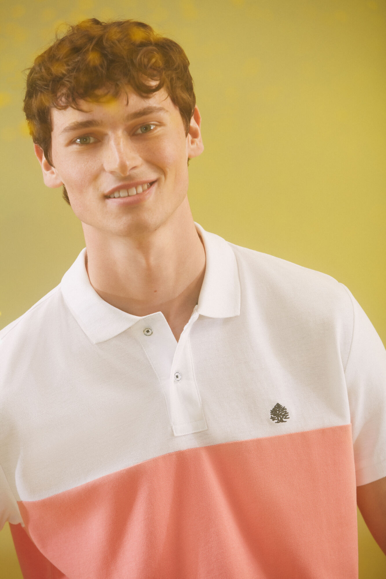 springfield polos homem