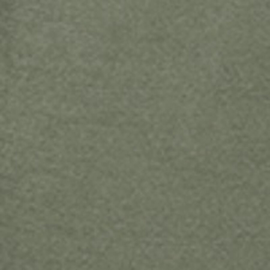 Color swatch