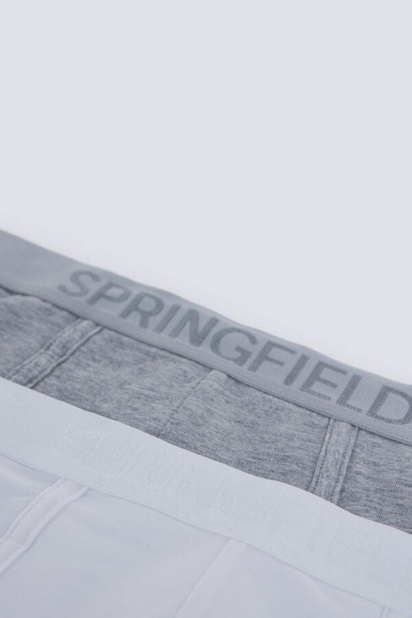Springfield Pack of 2 essential briefs grey