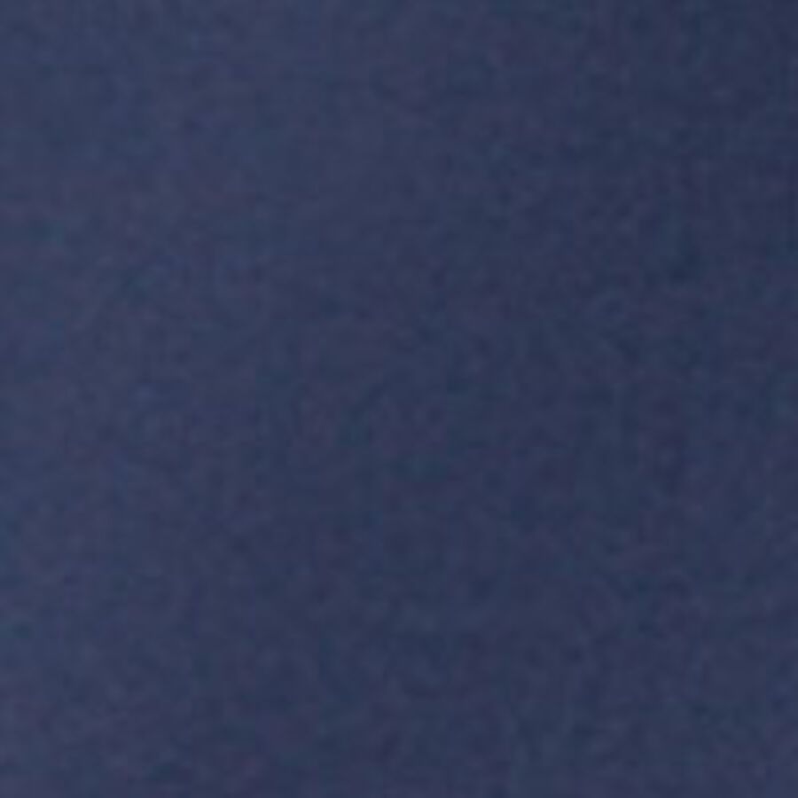 Color swatch