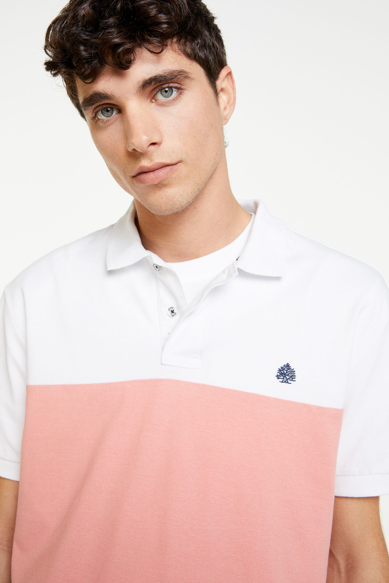 springfield polos homem