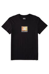 Springfield T-shirt for men black