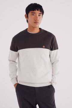 Springfield Pull basique &agrave; blocs de couleurs