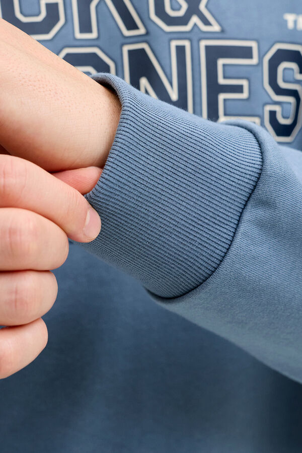 Jack & Jones Sudadera logo grande gris