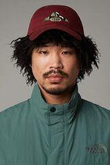 The North Face Embroidered Adjustable Cap rouge