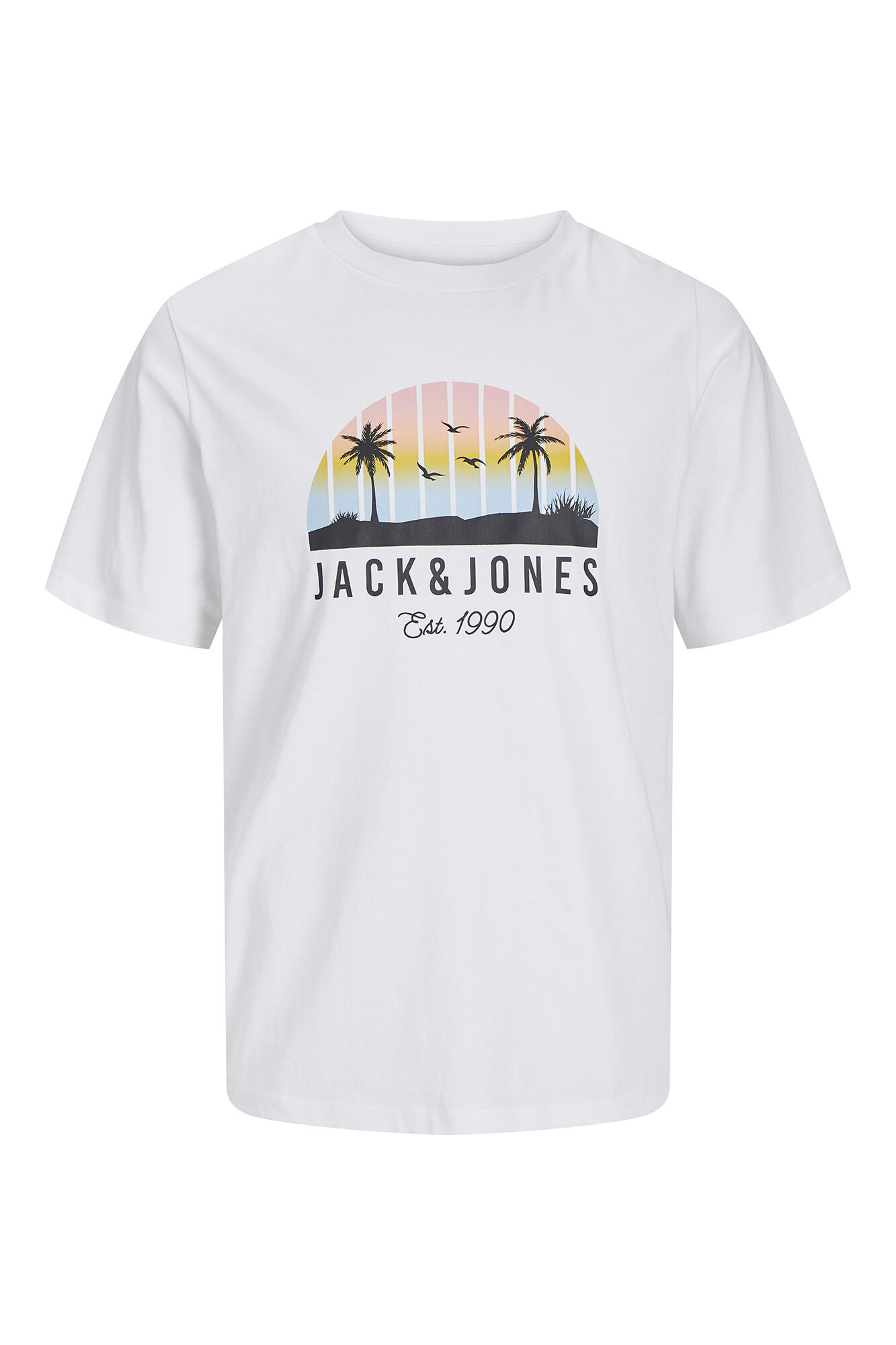 Jack & Jones Camiseta est&aacute;ndar fit