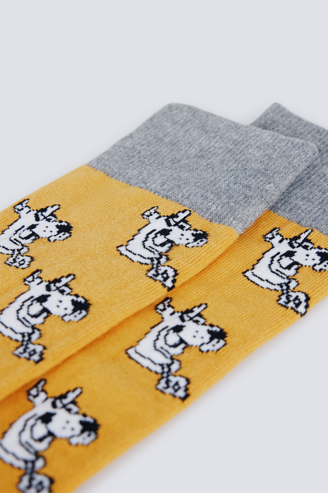 Springfield Calcet&iacute;n Scooby Doo