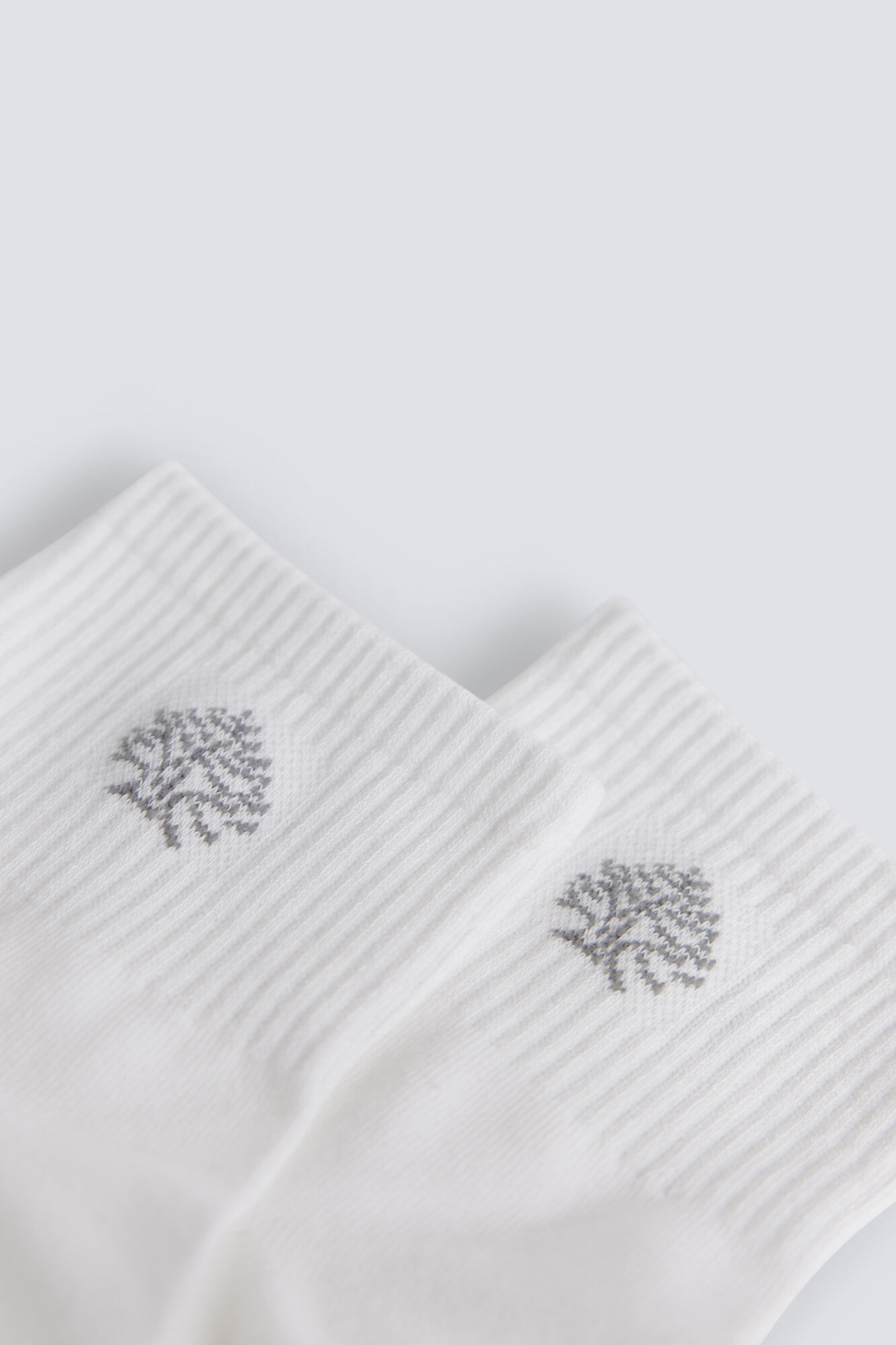 Springfield Ribbed ankle sock