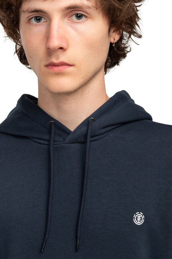 Element Sudadera con capucha gris