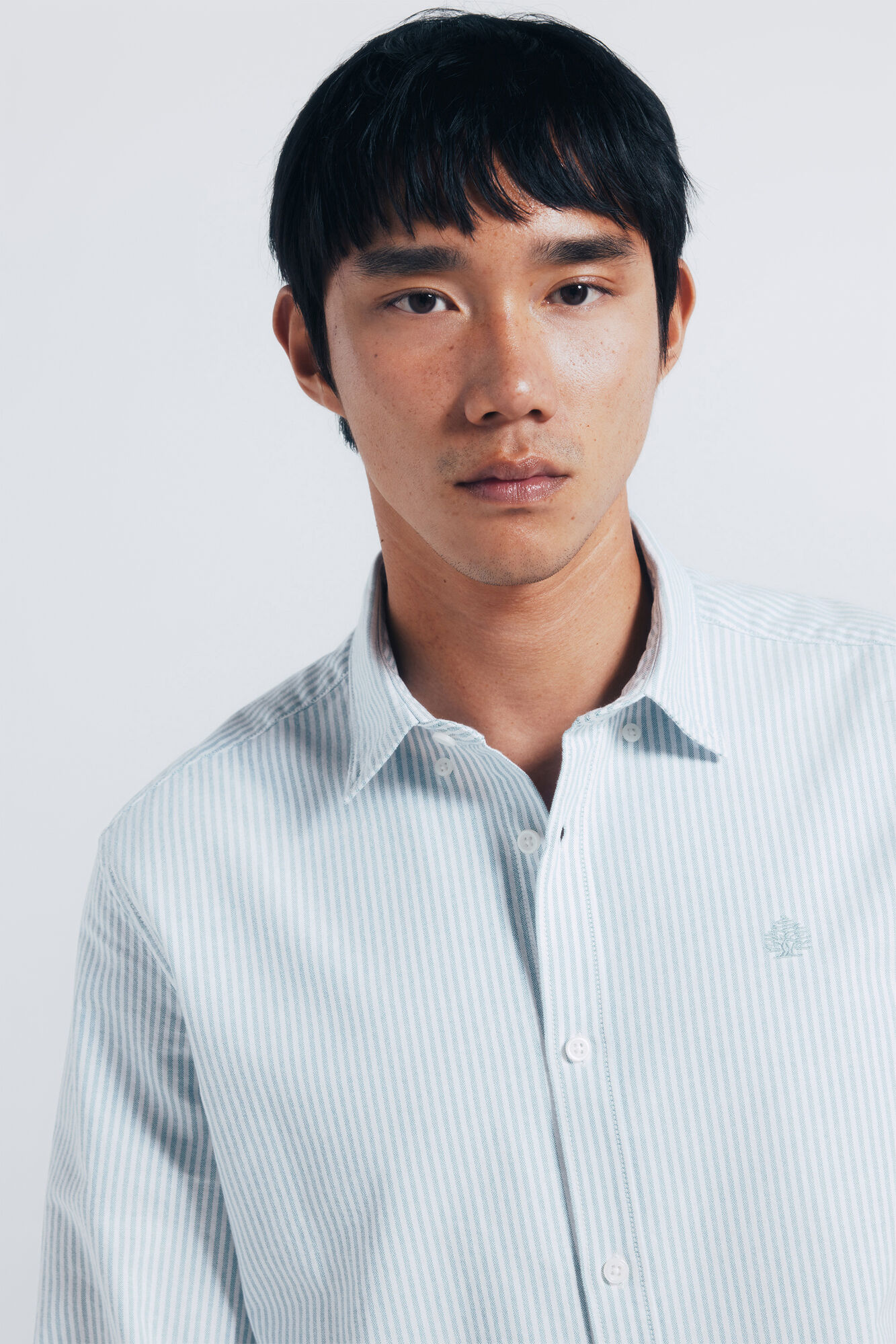 Springfield Riscas Oxford listrada