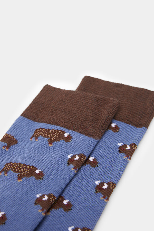 Springfield Long bison socks blue