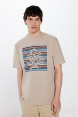 Springfield Camiseta árbol native arena