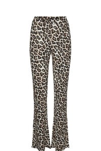 Noisy May Cal&ccedil;a canelada