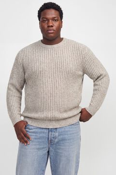 Jack & Jones PLUS Jersey relaxed cuello redondo