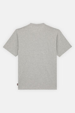 Dickies T-shirt de manga curta