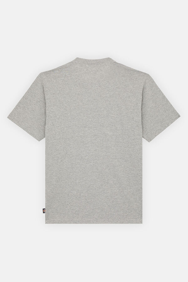 Dickies Short sleeve T-shirt grey