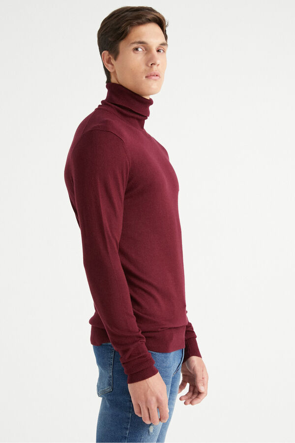 Inside Jersey B&aacute;sico Cisne rojo