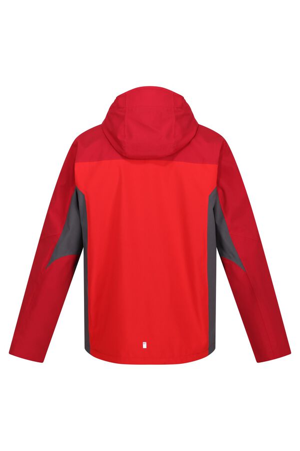 Springfield Birchdale waterproof jacket  rouge royal