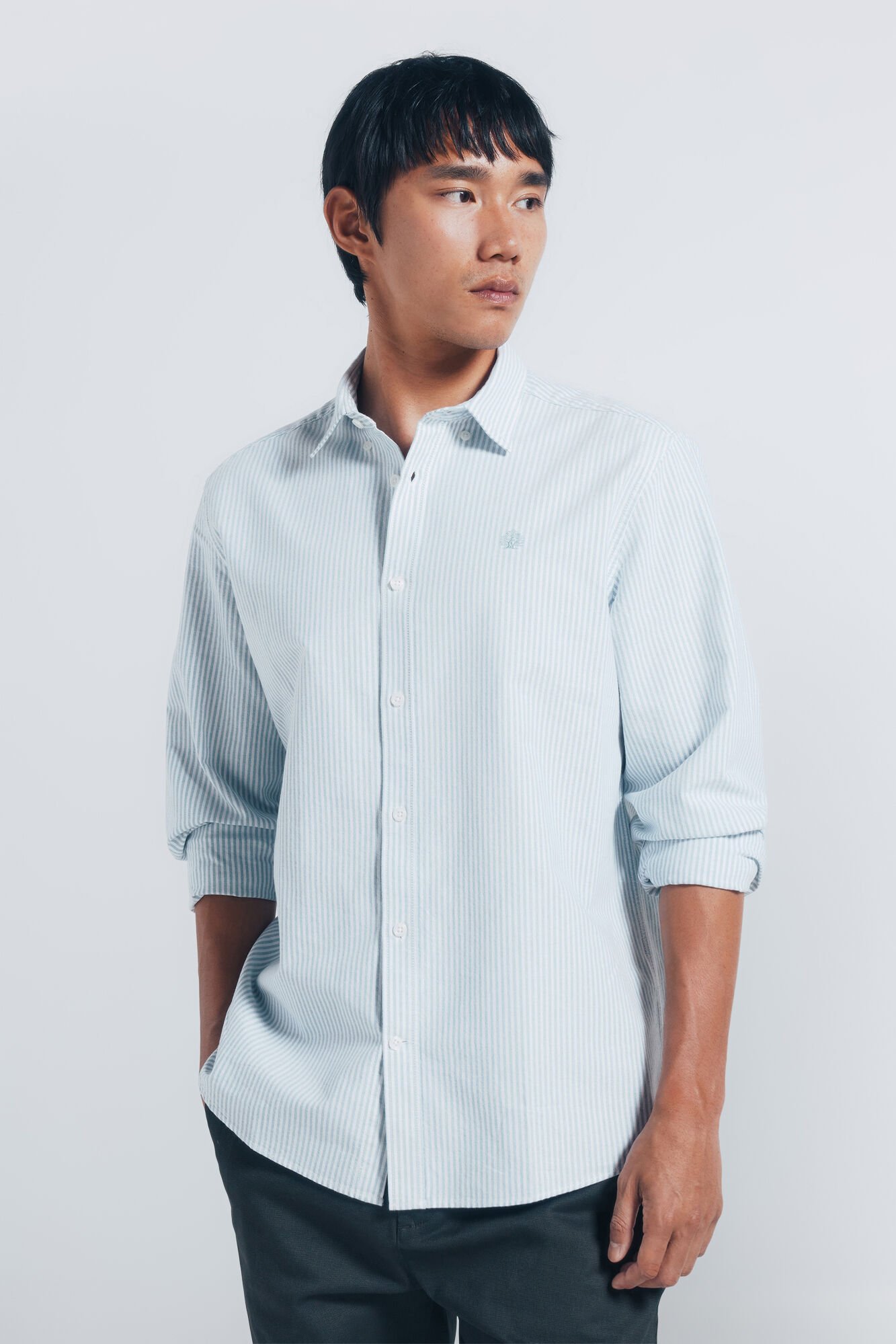 Springfield Riscas Oxford listrada