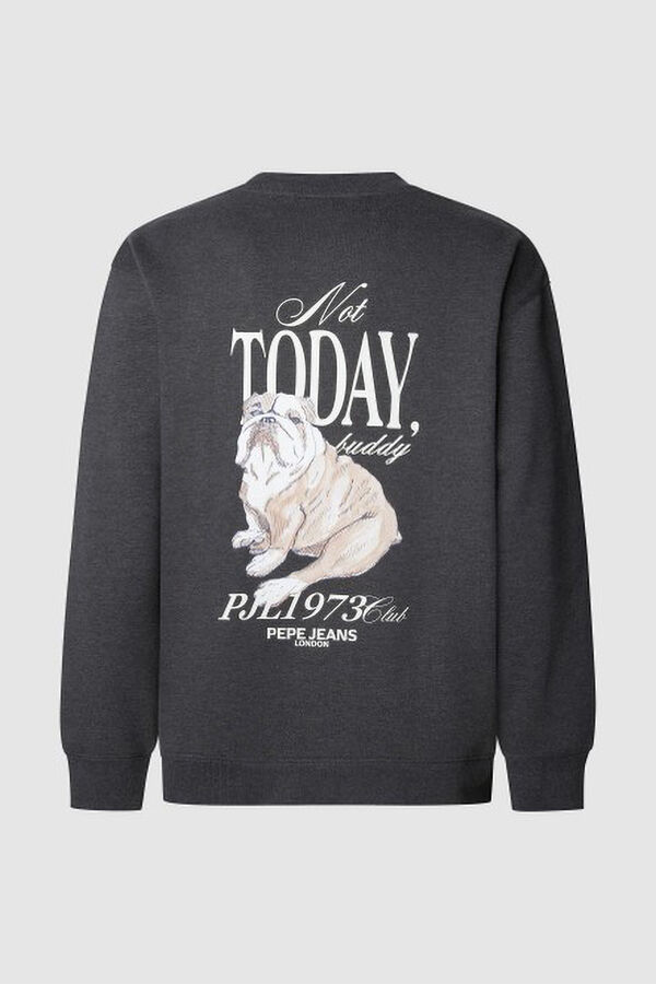 Pepe Jeans Sudadera Terry gris