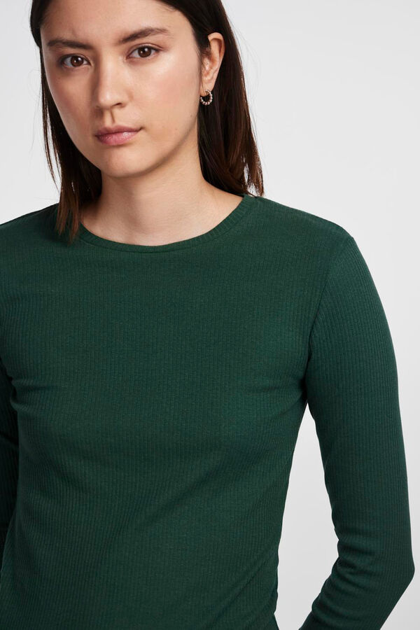 Springfield Basic T-shirt green