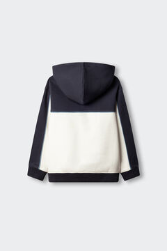 Springfield Kids Sudadera cortados y cosidos horizontal ni&ntilde;o