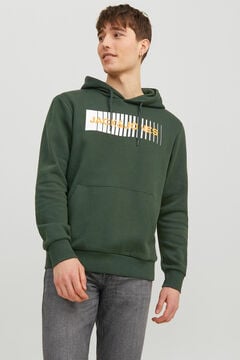 Springfield Logo hooded sweatshirt green
