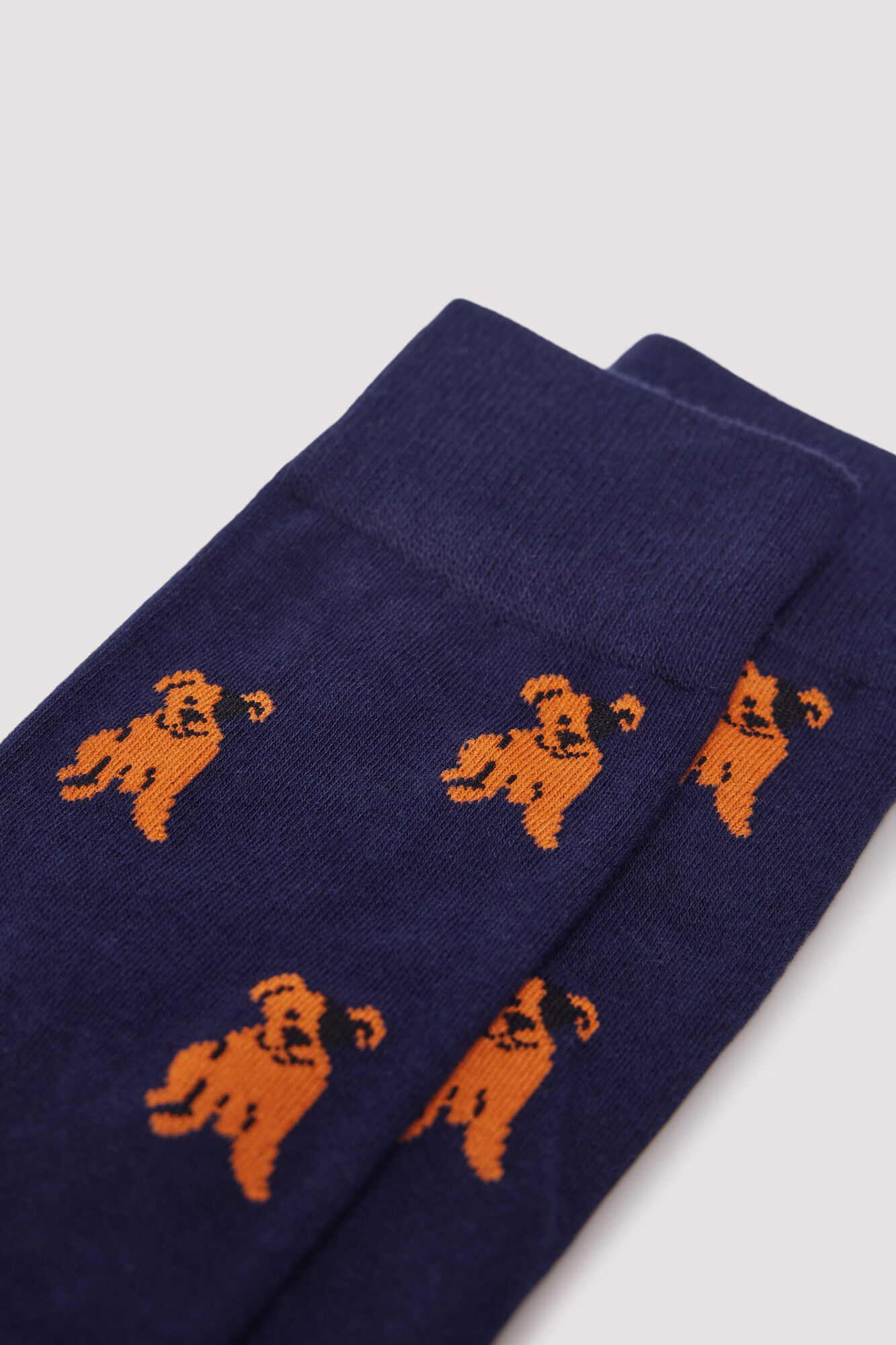 Springfield Cotton puppy sock