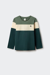 Springfield Kids Camiseta tricolor de manga comprida para menino verde
