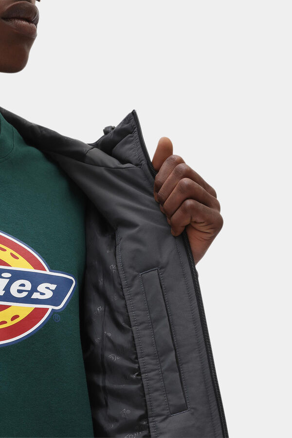 Dickies The New Sarpy Jacket  grey
