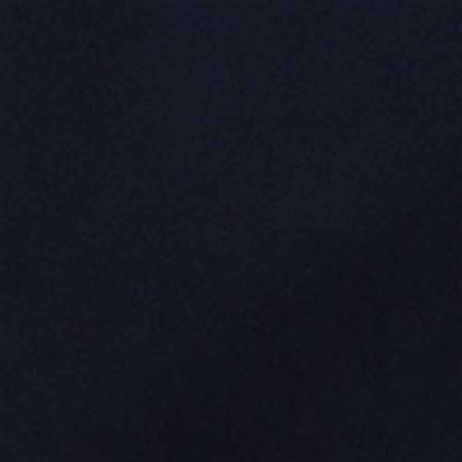 Color swatch