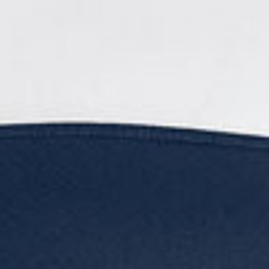 Color swatch
