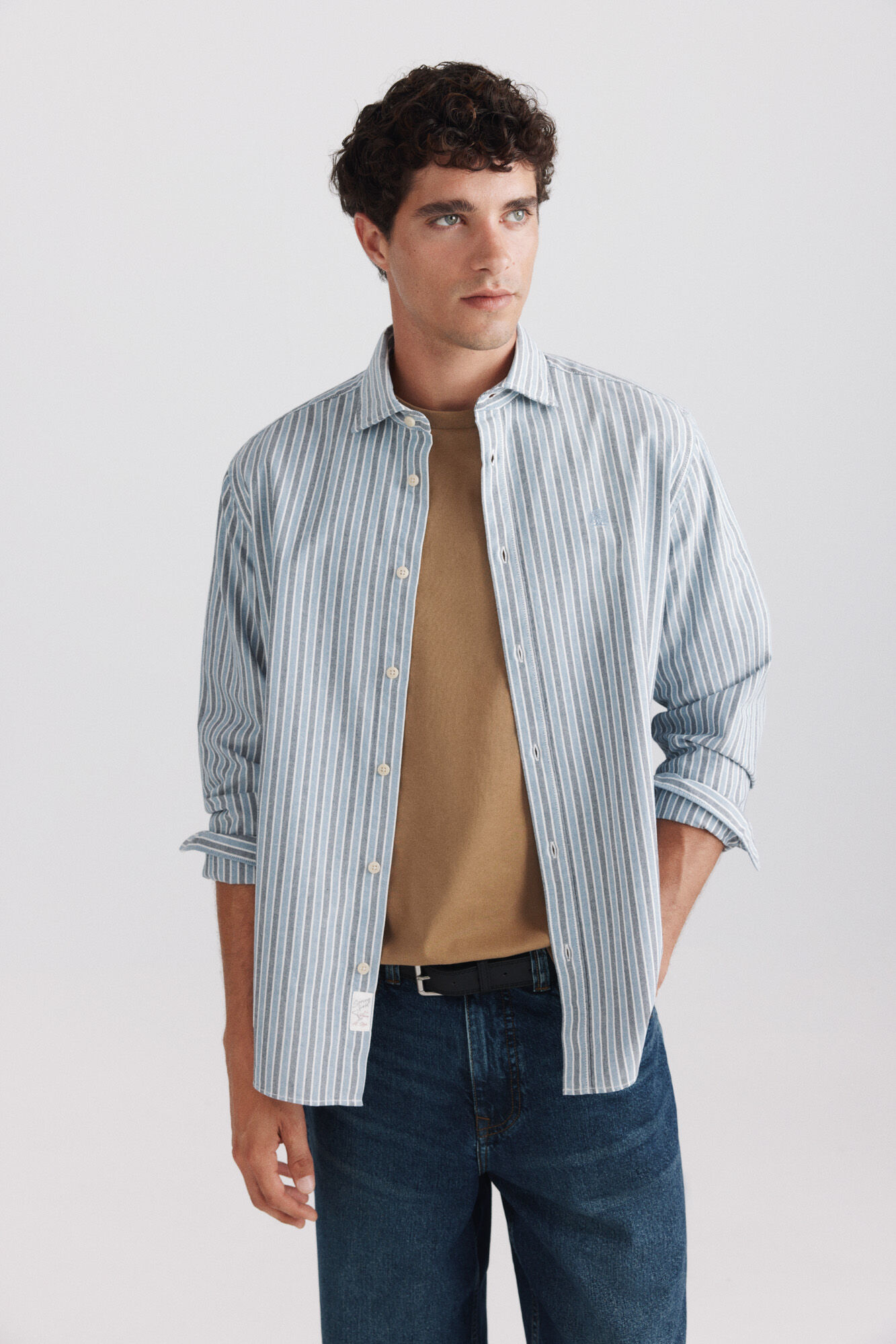 Springfield Camisa oxford &agrave;s riscas