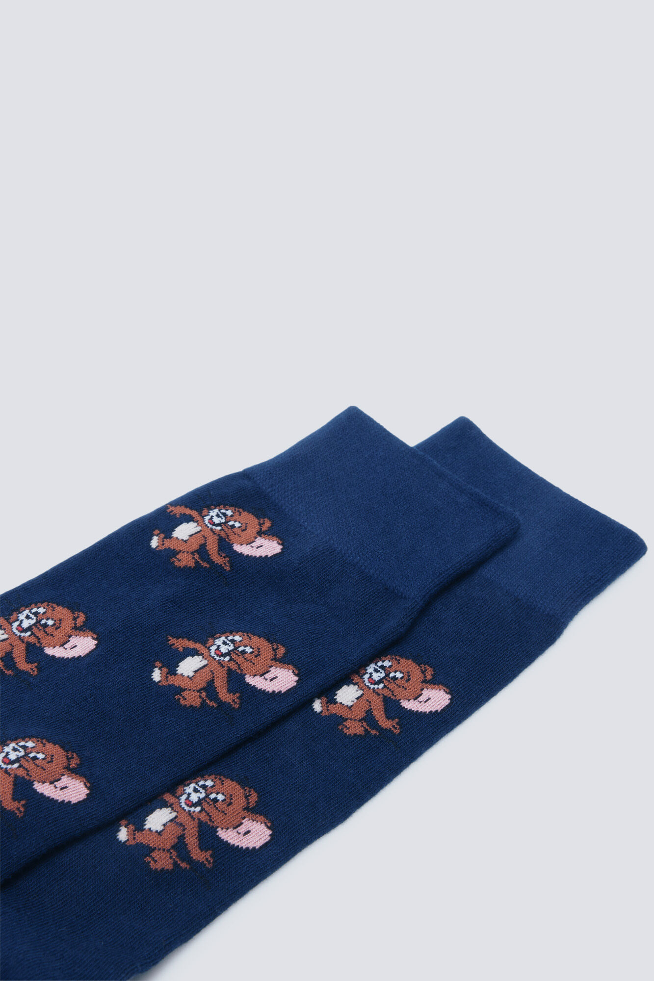 Springfield Tom & Jerry Sock